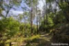 237C Nerringillah Road, Bendalong, NSW 2539-Image