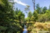237C Nerringillah Road, Bendalong, NSW 2539-Image