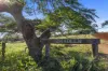 238 Bauple Drive, Bauple, Qld 4650