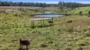 238 Bauple Drive, Bauple, Qld 4650-Image