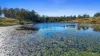 238 Bauple Drive, Bauple, Qld 4650-Image