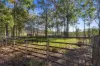 238 Bauple Drive, Bauple, Qld 4650-Image