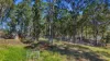 238 Bauple Drive, Bauple, Qld 4650-Image