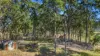 238 Bauple Drive, Bauple, Qld 4650-Image