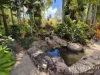 239 Hemmings Lane, Upper Barron, Qld 4883-Image
