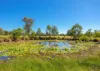 239 Warwiba Road, Old Bar, NSW 2430-Image