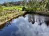 2391 Scotsdale Road, Kordabup, WA 6333-Image