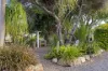 24 Clifford Street, Meringandan West, Qld 4352-Image