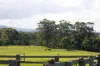 24 Evans Lane, Woodstock, NSW 2538-Image