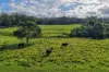 24 Evans Lane, Woodstock, NSW 2538-Image