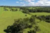 24 Evans Lane, Woodstock, NSW 2538-Image