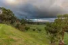 24 Illawong Road, Paris Creek, SA 5201-Image