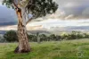 24 Illawong Road, Paris Creek, SA 5201-Image