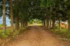 24 Malar Road, Booie, Qld 4610-Image