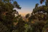 240 Crane Crescent, Nerang, Qld 4211-Image