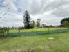 240 Gurner Avenue, Kemps Creek, NSW 2178