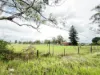 240 Gurner Avenue, Kemps Creek, NSW 2178-Image