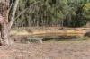 240 Heathcote Redesdale Road, Heathcote, Vic 3523-Image