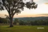 240 Huxtable Road, Pakenham Upper, Vic 3810-Image