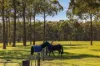 242 Dairy Road, The Oaks, NSW 2570-Image
