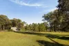 242 Dairy Road, The Oaks, NSW 2570-Image