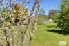 2421 Bulga Road, Bobin, NSW 2429-Image
