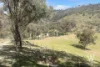 2435 Turondale Road, Turondale, NSW 2795-Image