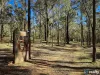 244 Parsons Road, Nanango, Qld 4615-Image
