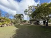 245 Bells Road, Rodds Bay, Qld 4678-Image