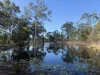 245 Bells Road, Rodds Bay, Qld 4678-Image