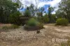 245 Old Stannifer Road, Gilgai, NSW 2360-Image