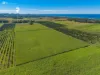 245 Warwick Park Road, Wooyung, NSW 2483-Image