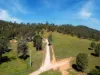 246-274 Rasmussen Road, Neurum, Qld 4514