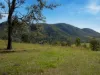 246-274 Rasmussen Road, Neurum, Qld 4514-Image