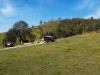 246-274 Rasmussen Road, Neurum, Qld 4514-Image