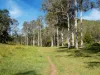 246-274 Rasmussen Road, Neurum, Qld 4514-Image