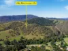 246-274 Rasmussen Road, Neurum, Qld 4514-Image