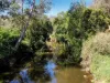 246-274 Rasmussen Road, Neurum, Qld 4514-Image