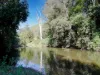 246-274 Rasmussen Road, Neurum, Qld 4514-Image
