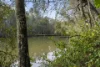 246 Freemans Drive, Cooranbong, NSW 2265-Image