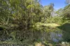 2471 Kyogle Road, Terragon, NSW 2484-Image
