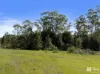 2471 Kyogle Road, Terragon, NSW 2484-Image