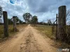 2473 Kingaroy Cooyar Road, Brooklands, Qld 4615-Image