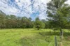 2488 Araluen Road, Deua River Valley, NSW 2537-Image