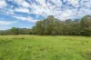 2488 Araluen Road, Deua River Valley, NSW 2537-Image