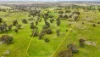 249 Rhine Park Road, Eden Valley, SA 5235-Image