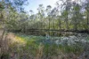 249 West Lanitza Road, Lanitza, NSW 2460-Image