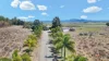 24913 Peak Downs Highway, Victoria Plains, Qld 4751-Image
