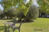 25 Ballagar Road, Byford, WA 6122-Image