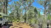 25 Dingo Gully Road, Grevillia, NSW 2474-Image